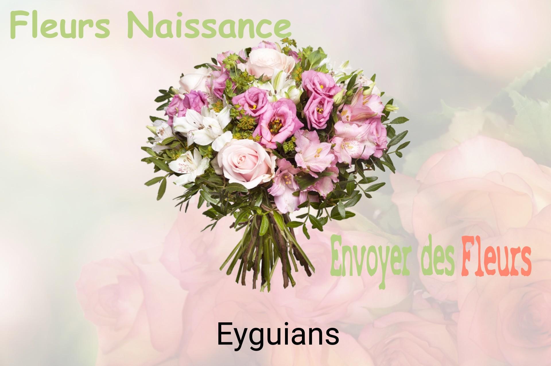 Bouquet de fleurs de naissance livré à Eyguians